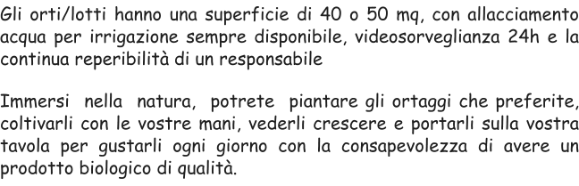 Gli orti/lotti hanno una superficie di 40 o 50 mq, con allacciamento acqua per irrigazione sempre disponibile, videosorveglianza 24h e la continua reperibilità di un responsabile  Immersi  nella  natura,  potrete  piantare gli ortaggi che preferite, coltivarli con le vostre mani, vederli crescere e portarli sulla vostra tavola per gustarli ogni giorno con la consapevolezza di avere un prodotto biologico di qualità.