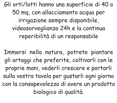 Gli orti/lotti hanno una superficie di 40 o 50 mq, con allacciamento acqua per irrigazione sempre disponibile, videosorveglianza 24h e la continua reperibilità di un responsabile  Immersi  nella  natura,  potrete  piantare gli ortaggi che preferite, coltivarli con le proprie mani, vederli crescere e portarli sulla vostra tavola per gustarli ogni giorno con la consapevolezza di avere un prodotto biologico di qualità.